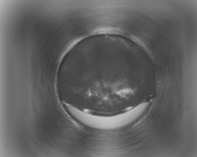 X0000066491277200604141647