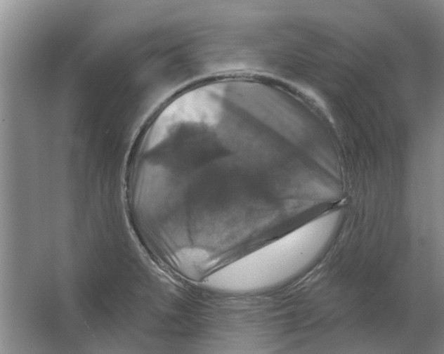 X0000066491279200604141647