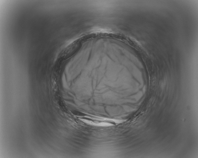 X0000066491303200604141646