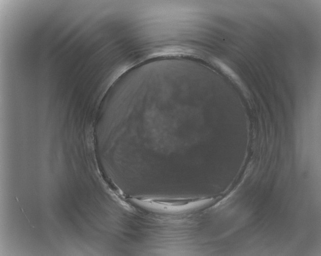 X0000066491329200604141646