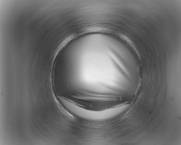 X0000066491330200604141646