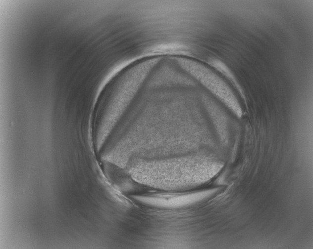 X0000066491336200604141647