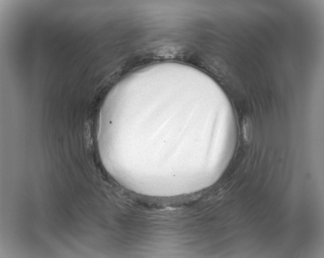 X0000066491347200604141646