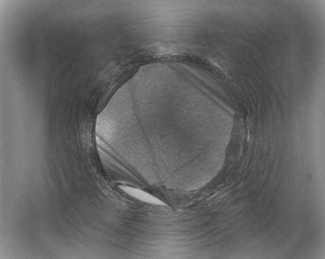 X0000066491348200604141646