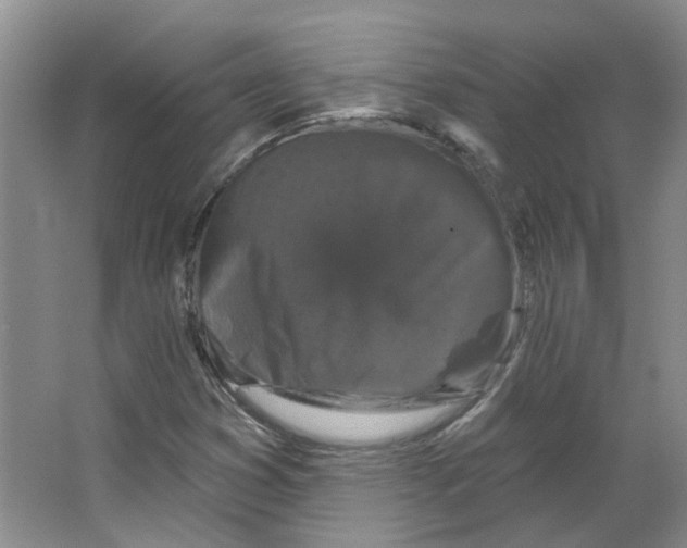 X0000066491353200604141646