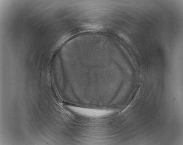 X0000066491354200604141646