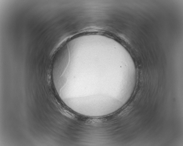 X0000066491355200604141646