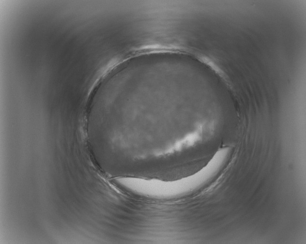 X0000066491357200604141646