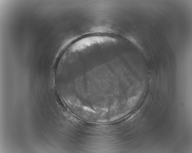 X0000066491358200604141646