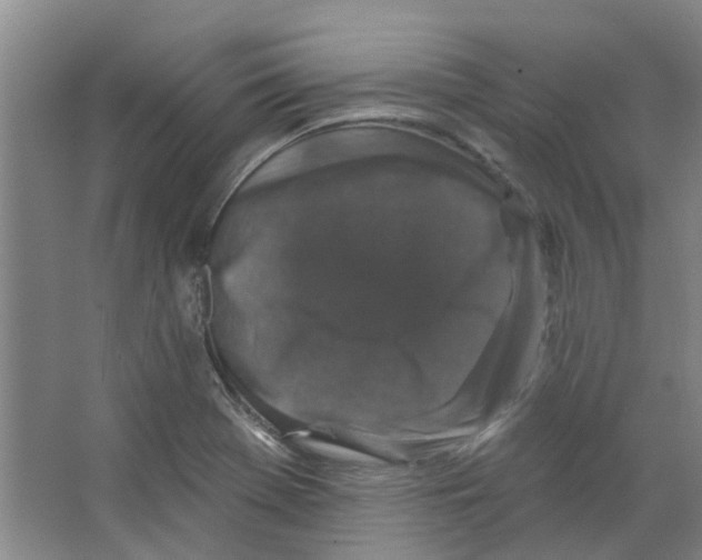 X0000066491369200604141645
