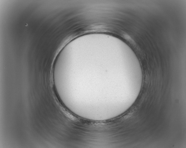 X0000066491370200604141645