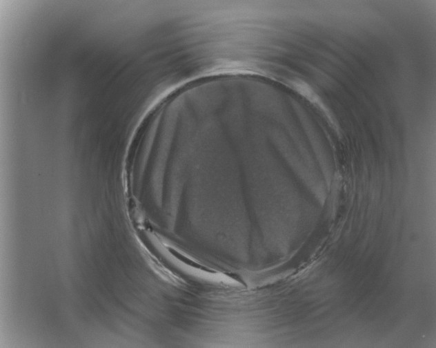 X0000066491372200604141645