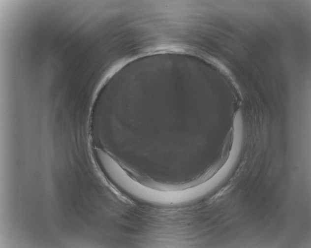 X0000066491373200604141645
