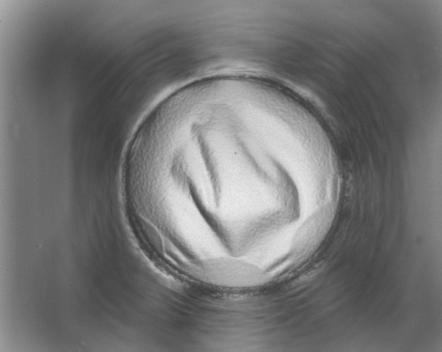 X0000066491375200604141645
