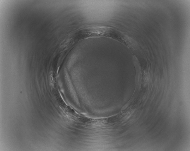 X0000066491394200604141644