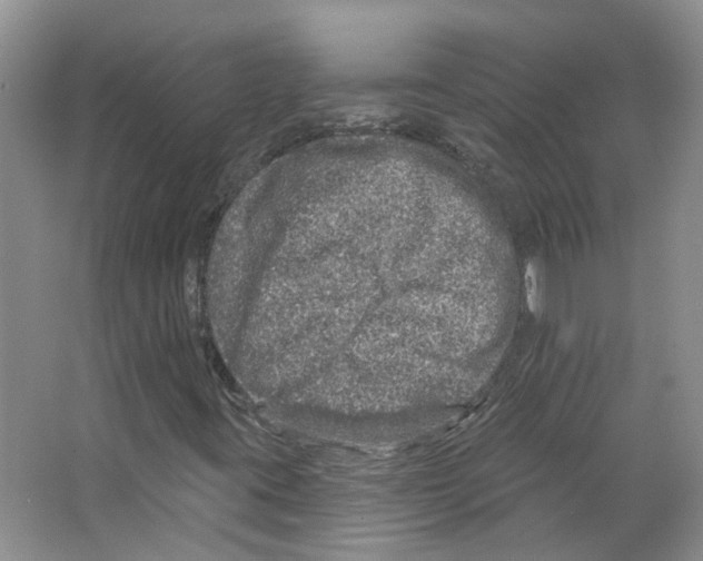 X0000066491395200604141644