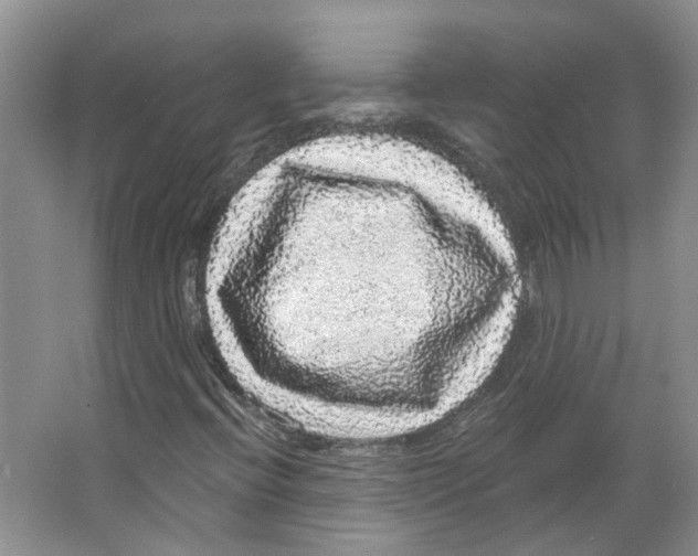 X0000066491396200604141644