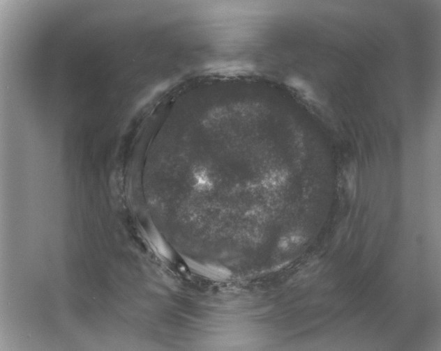 X0000066491398200604141644