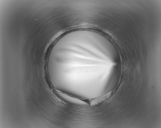 X0000066491410200604141645