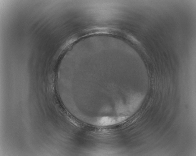 X0000066491411200604141645