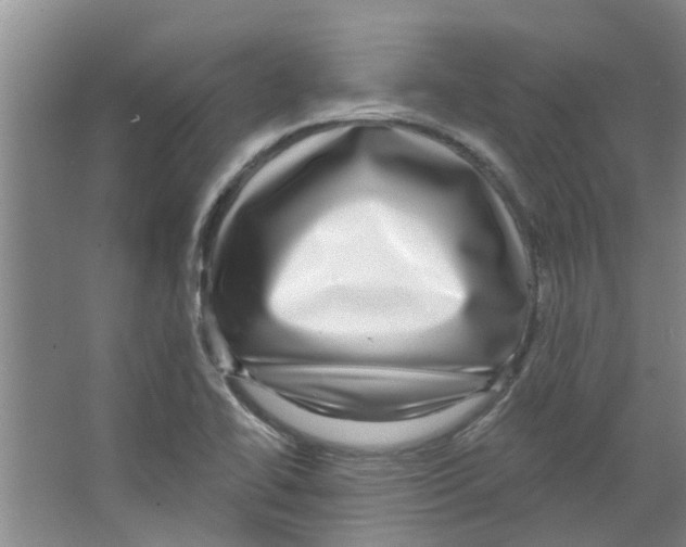 X0000066491414200604141645
