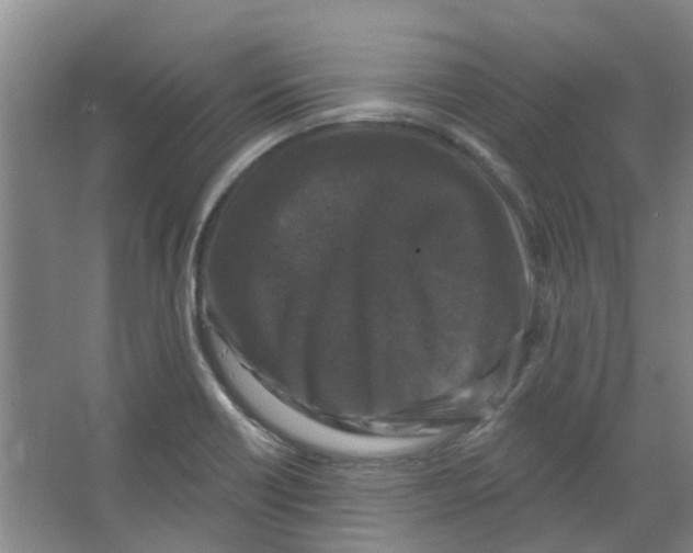 X0000066491418200604141645