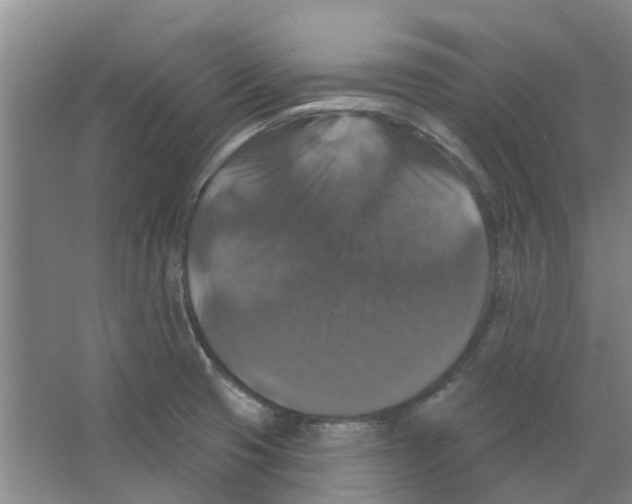X0000066491425200604141645