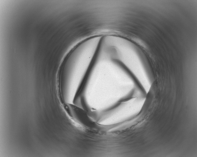 X0000066491430200604141645