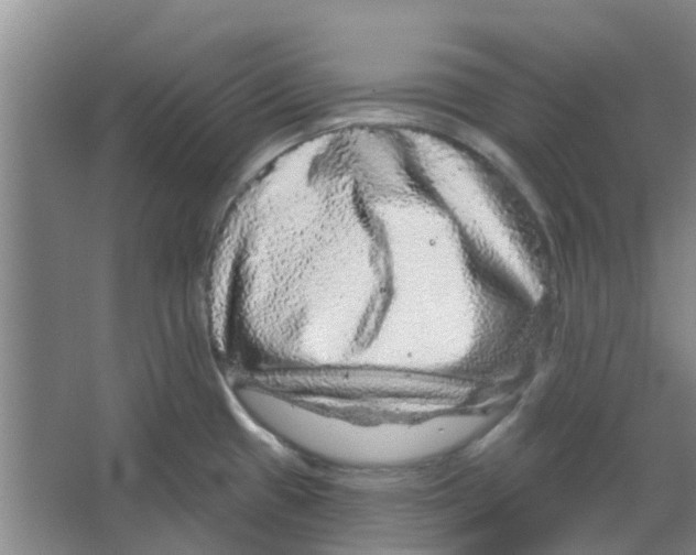 X0000066491433200604141645