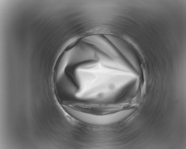 X0000066491434200604141645