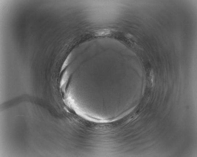 X0000066491441200604141644