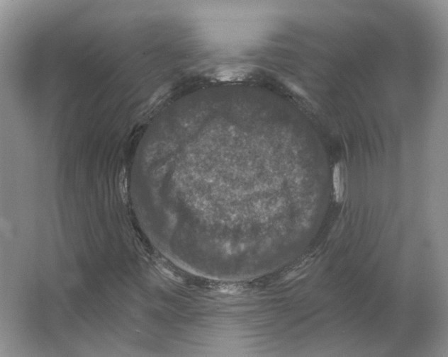 X0000066491443200604141644