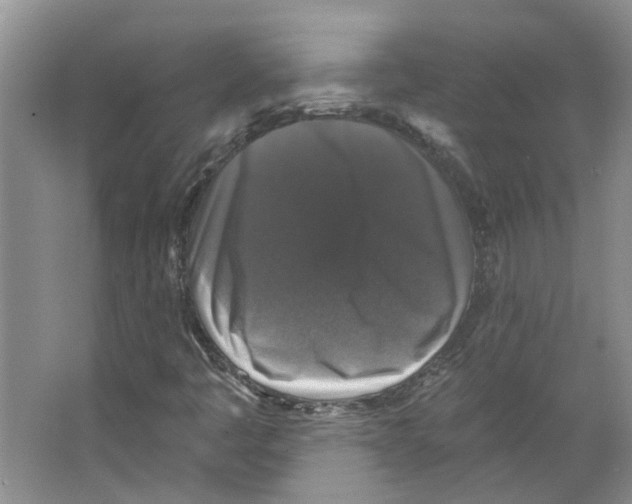 X0000066491445200604141644