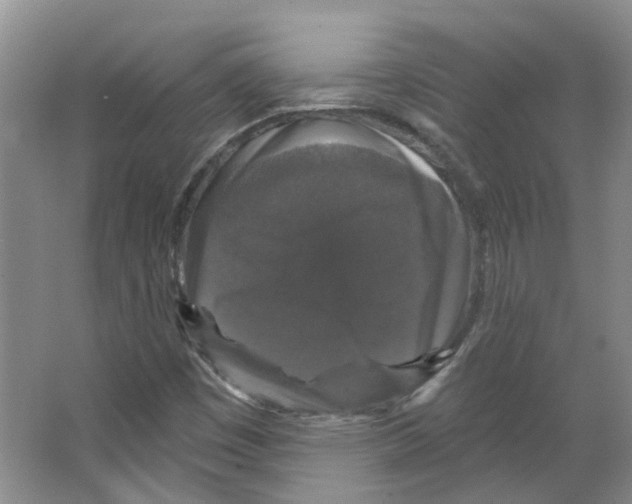 X0000066491449200604141644