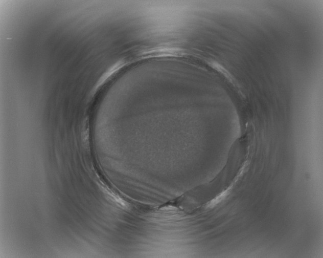 X0000066491450200604141644