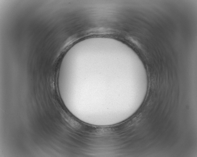 X0000066491451200604141644
