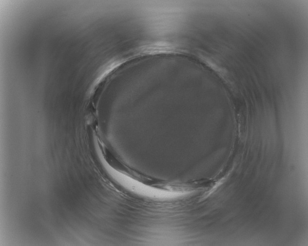 X0000066491453200604141644