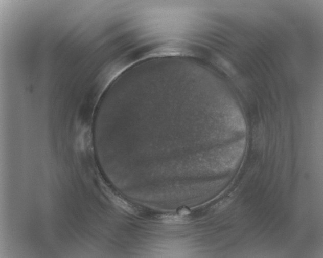 X0000066491465200604141644