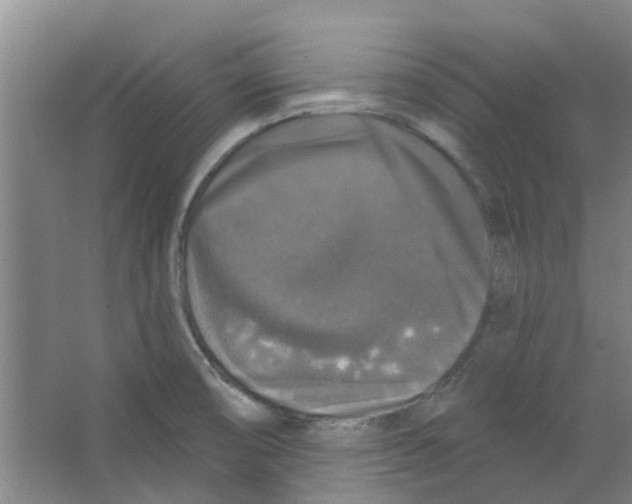 X0000066491474200604141644