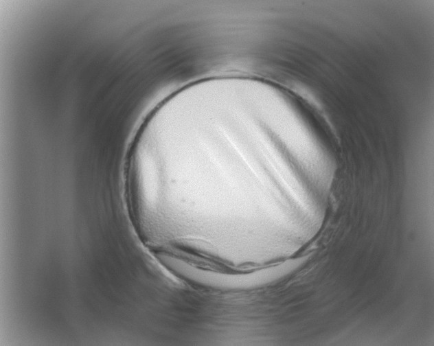 X0000066491480200604141644