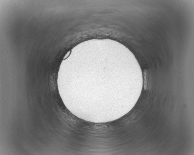 X0000066491491200604141643