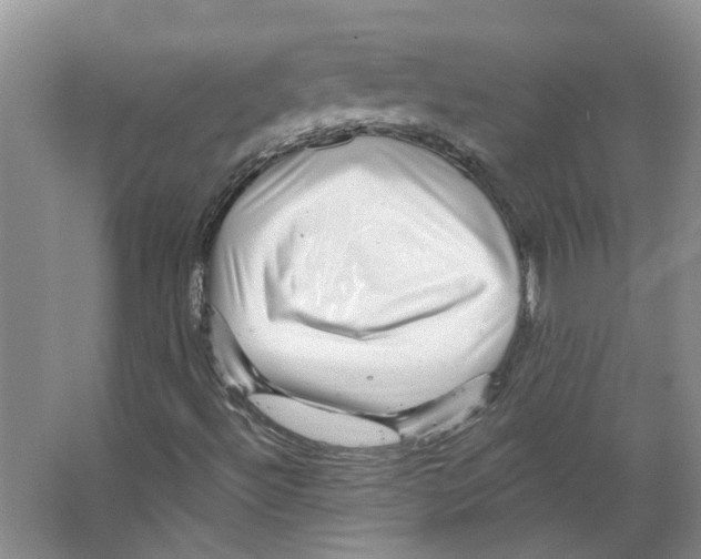 X0000066491492200604141643