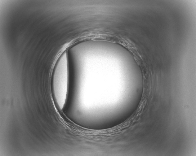 X0000066500003200603171002
