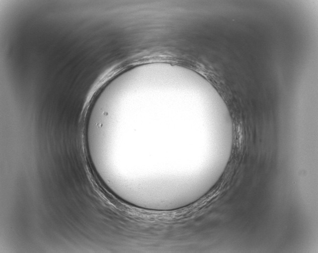 X0000066500004200603171002