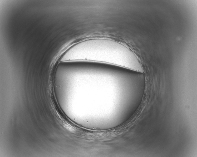 X0000066500005200603171002