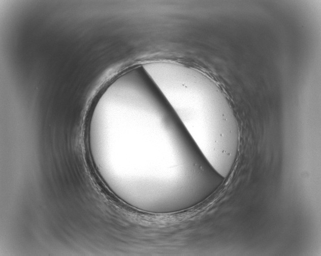 X0000066500006200603171002