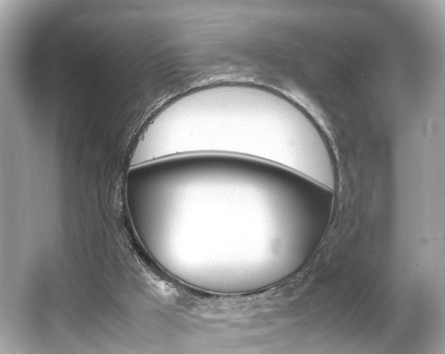 X0000066500009200603171002
