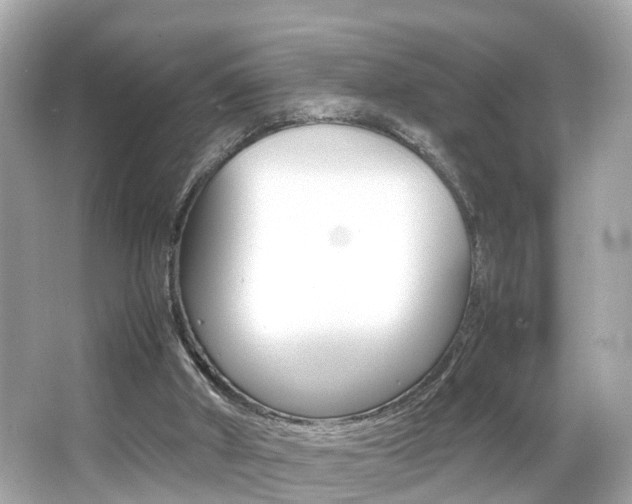 X0000066500010200603171002