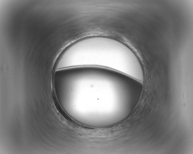X0000066500011200603171002