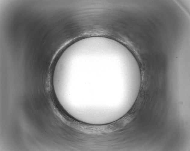 X0000066500012200603171002